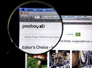 乐鱼电竞在线平台-体育新闻中心发布体育短视频传播效果白皮书，体育短视频成为平台和用户的新宠